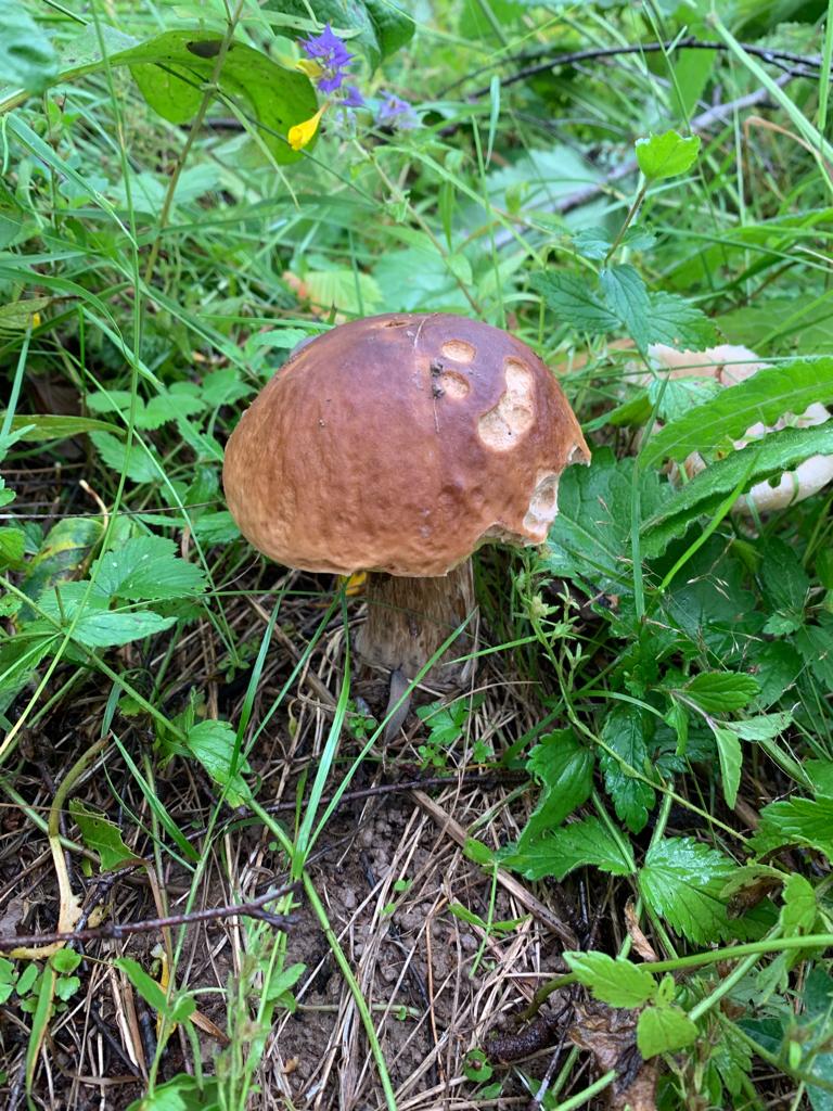 IMG-20190721-WA0024.jpg
