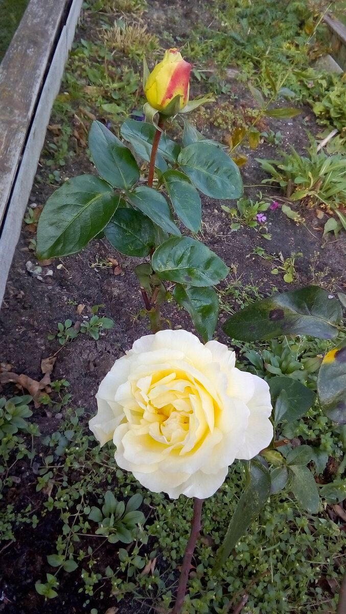 IMG-20191020-WA0046.jpeg