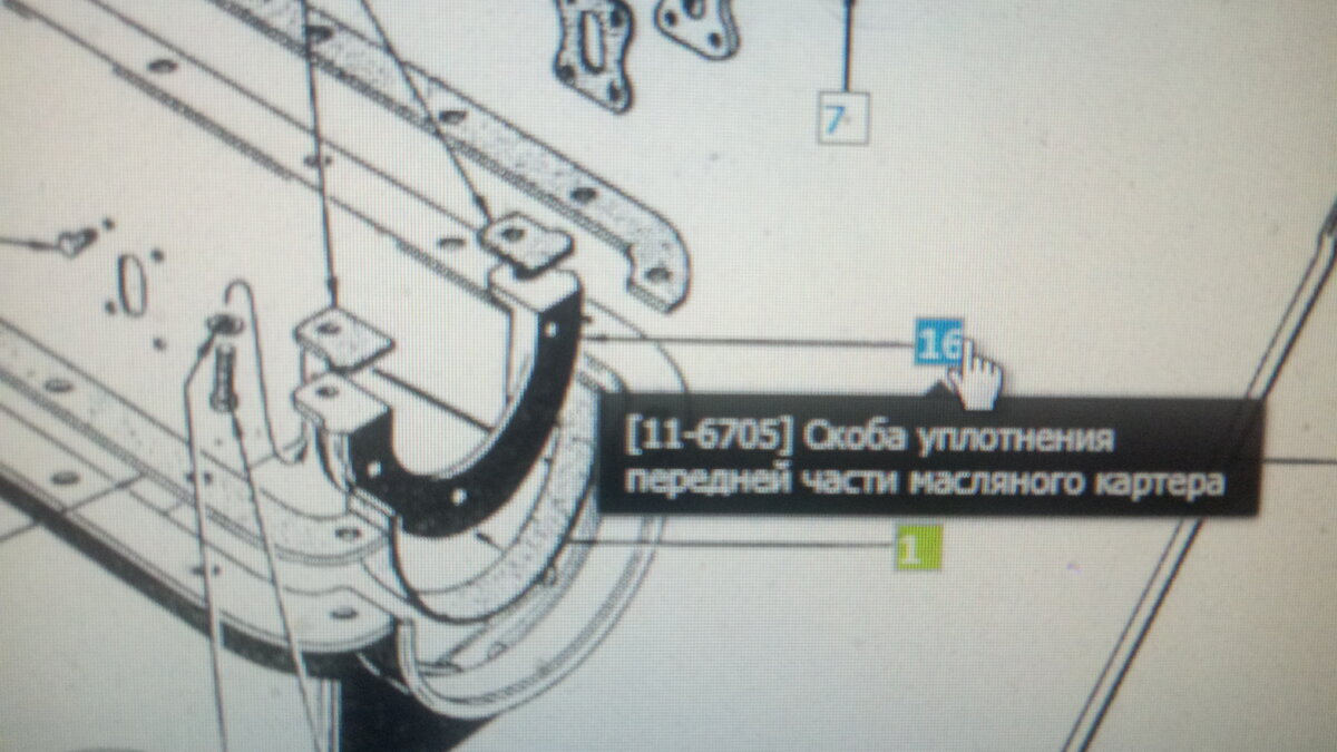 IMG-20191228-WA0019.jpeg