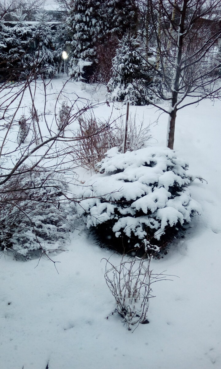 IMG-20200223-WA0001.jpeg
