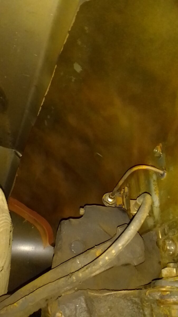 IMG-20210121-WA0223.jpeg
