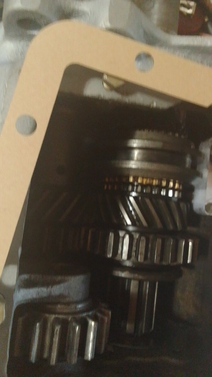 IMG-20210818-WA0092.jpeg