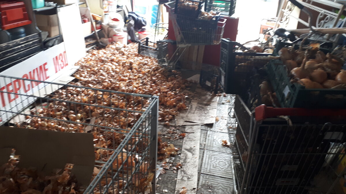IMG-20210904-WA0021.jpeg