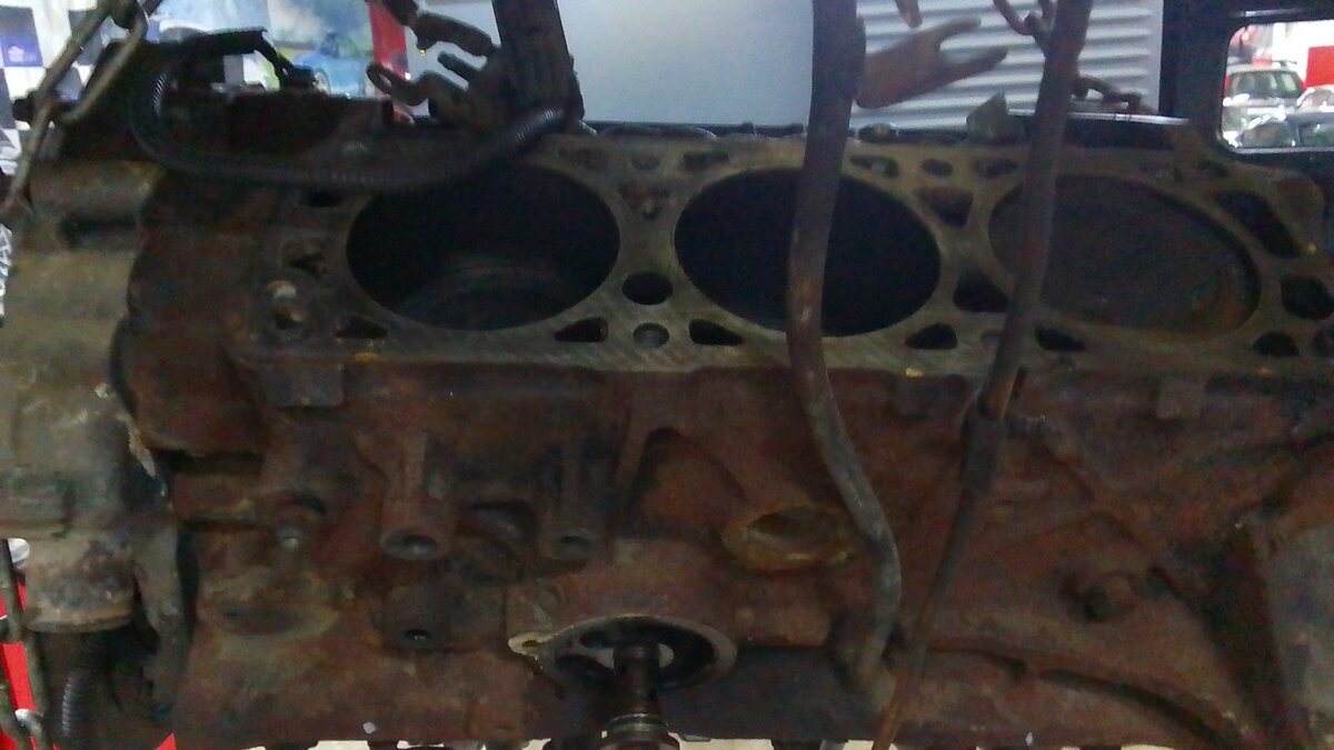IMG-20211118-WA0125.jpeg