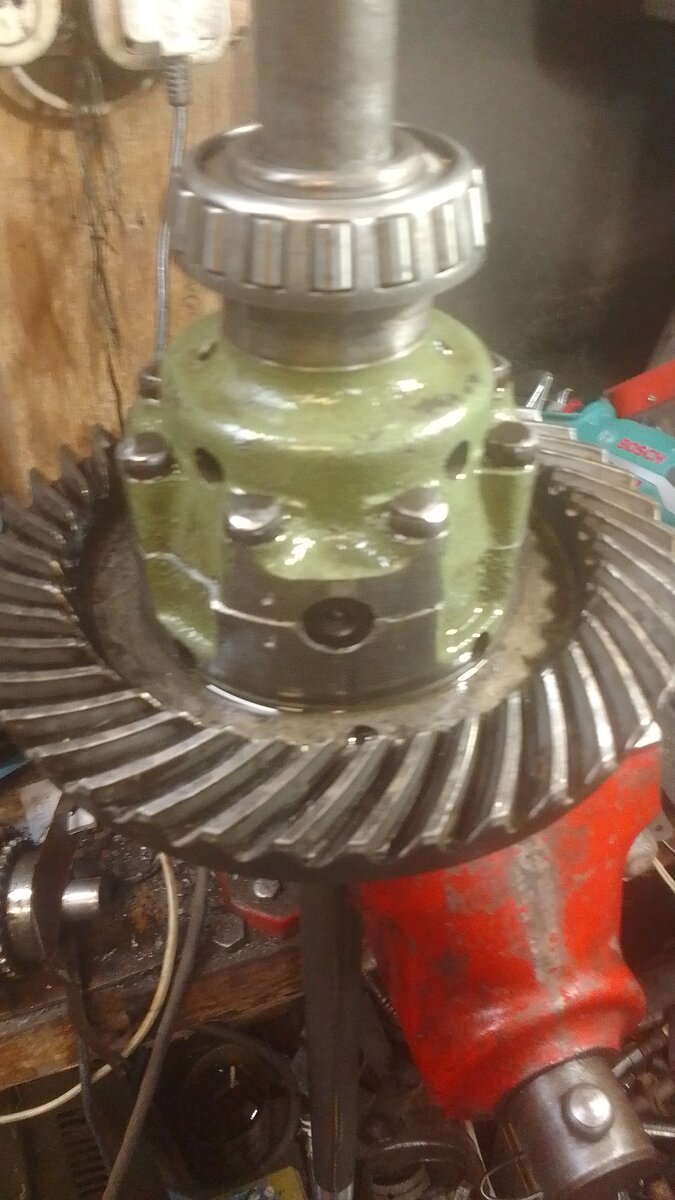 IMG-20211127-WA0181.jpeg