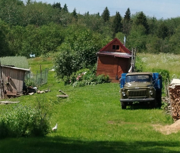 IMG-20250617-WA0035.jpg