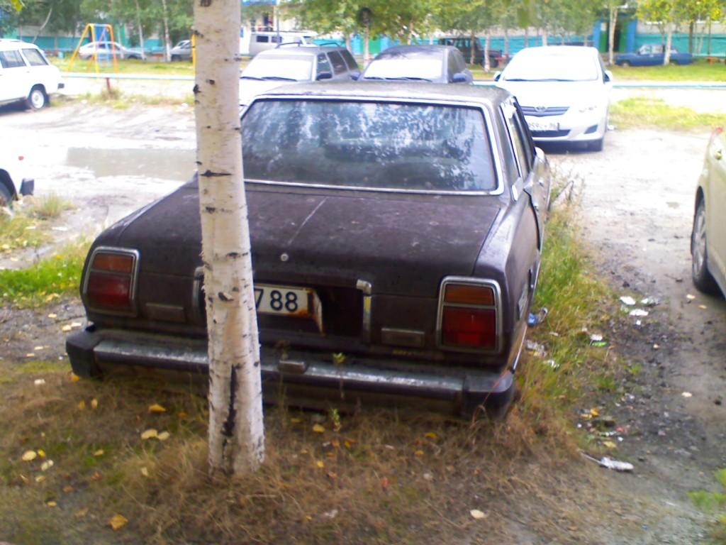 IMG004.jpg