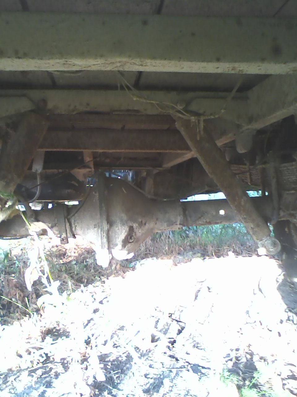IMG0154A.jpg