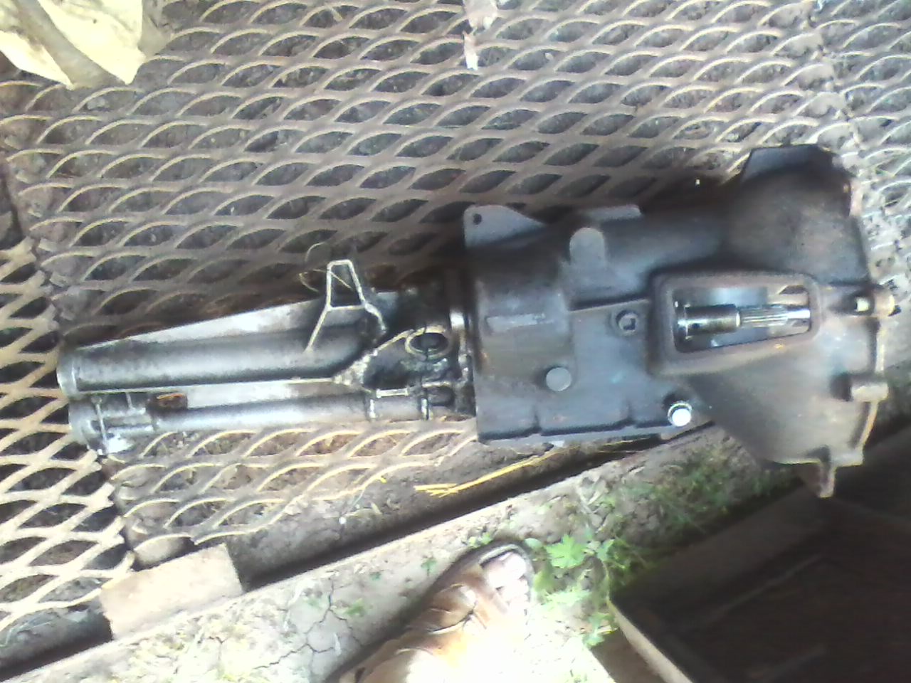 IMG0860A.jpg