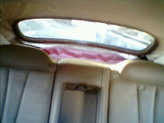 IMG1394A.jpg