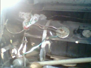 IMG1397A.jpg