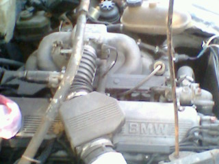 IMG1411A.jpg