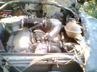 IMG1455A.jpg