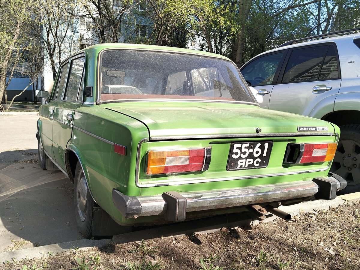 IMG20250420154401.jpg