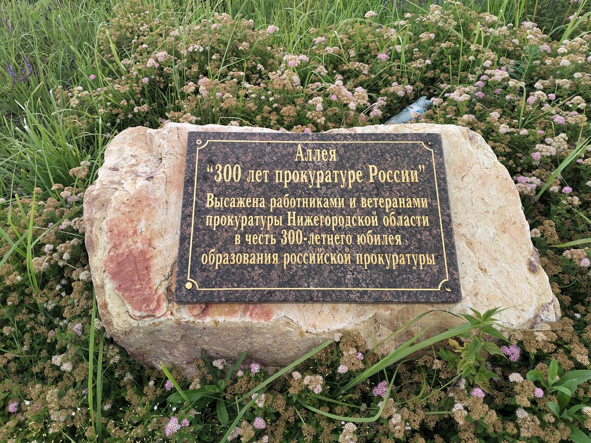 IMG20250625122302.jpg