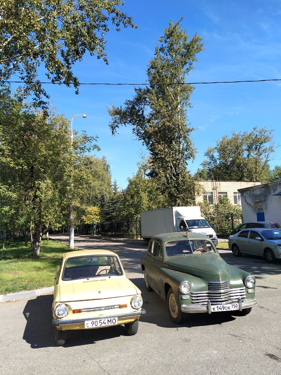 IMG20250828101101.jpg