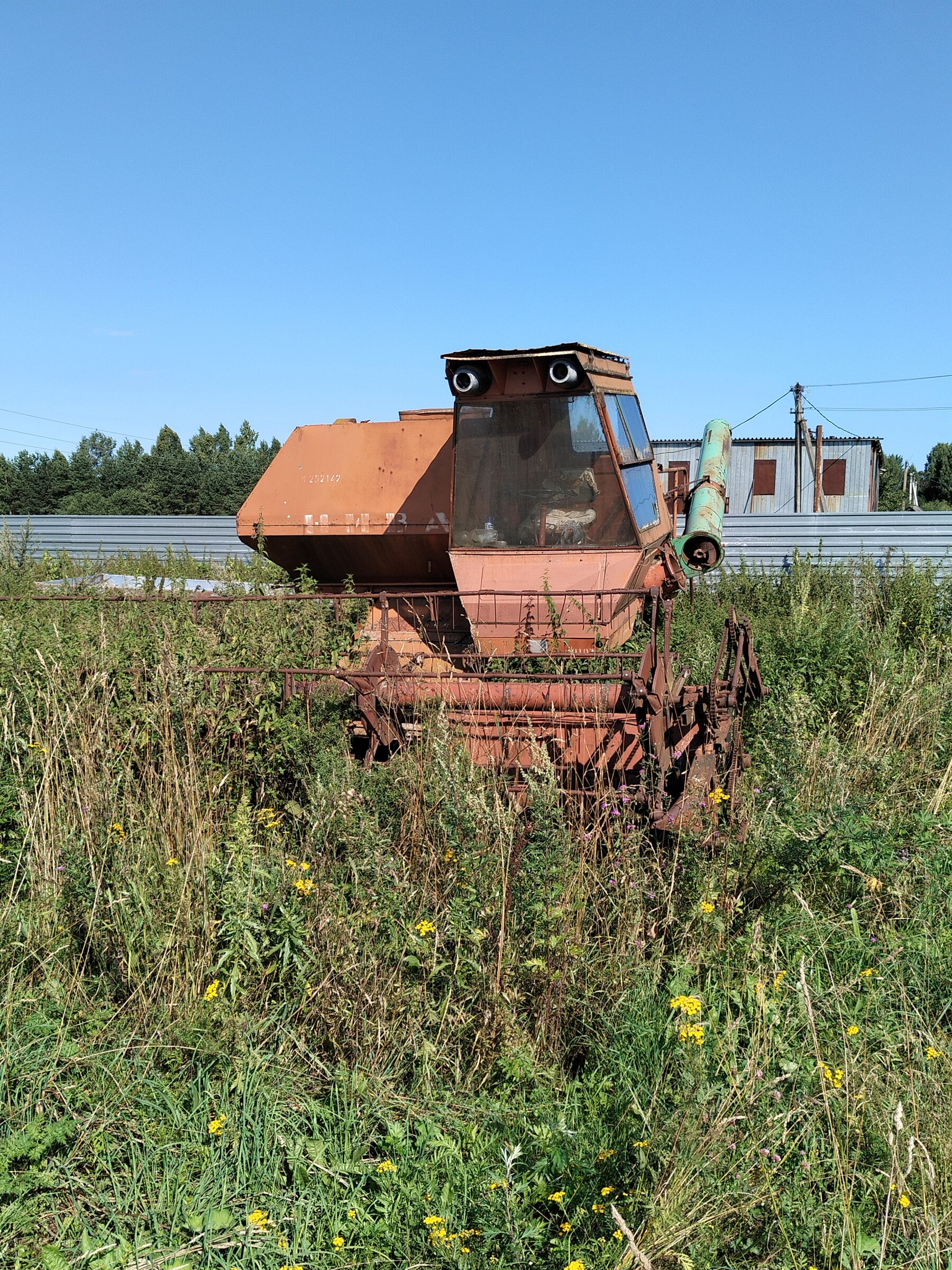 IMG20260731092845.jpg