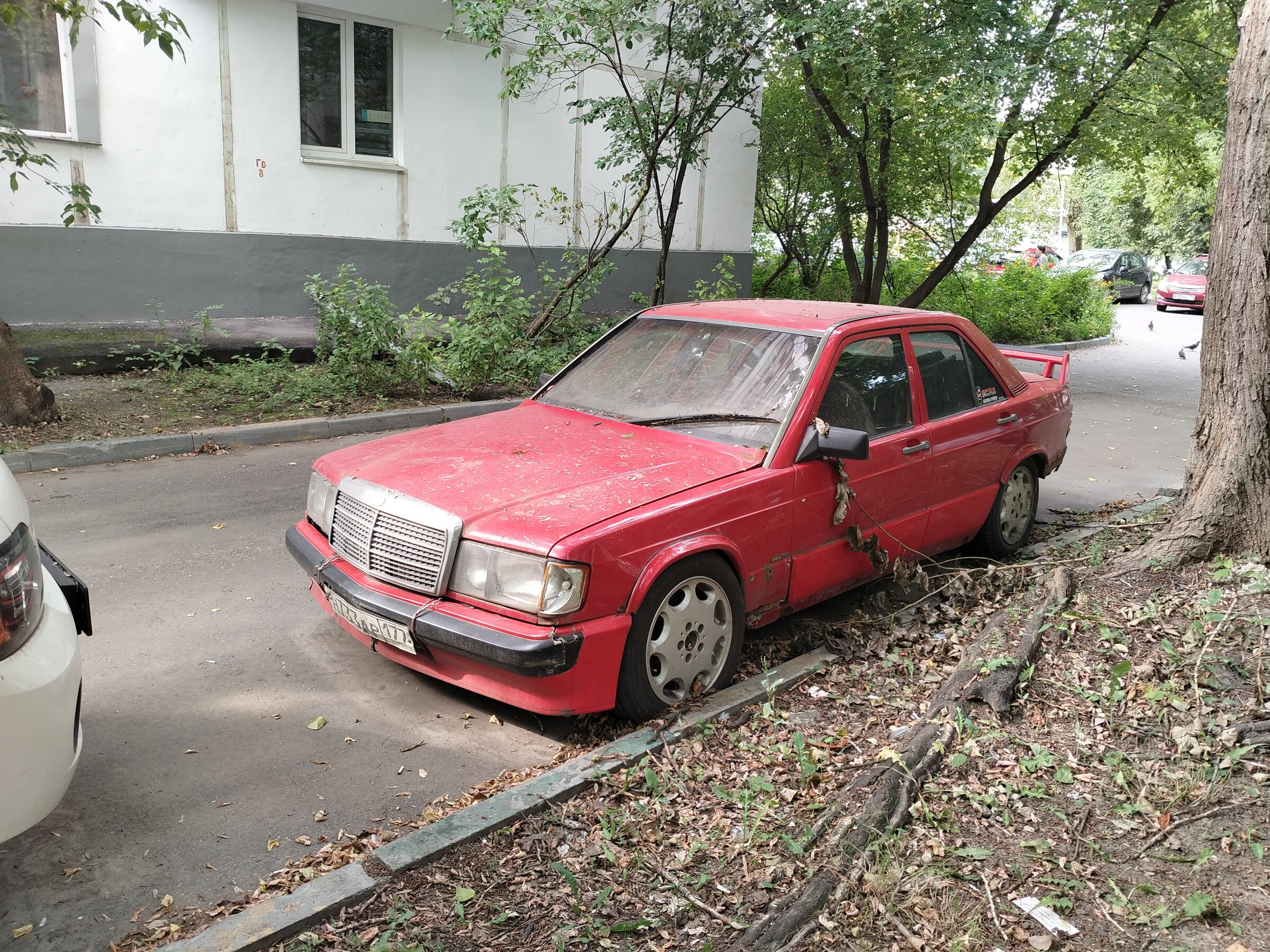 IMG20260805085537.jpg