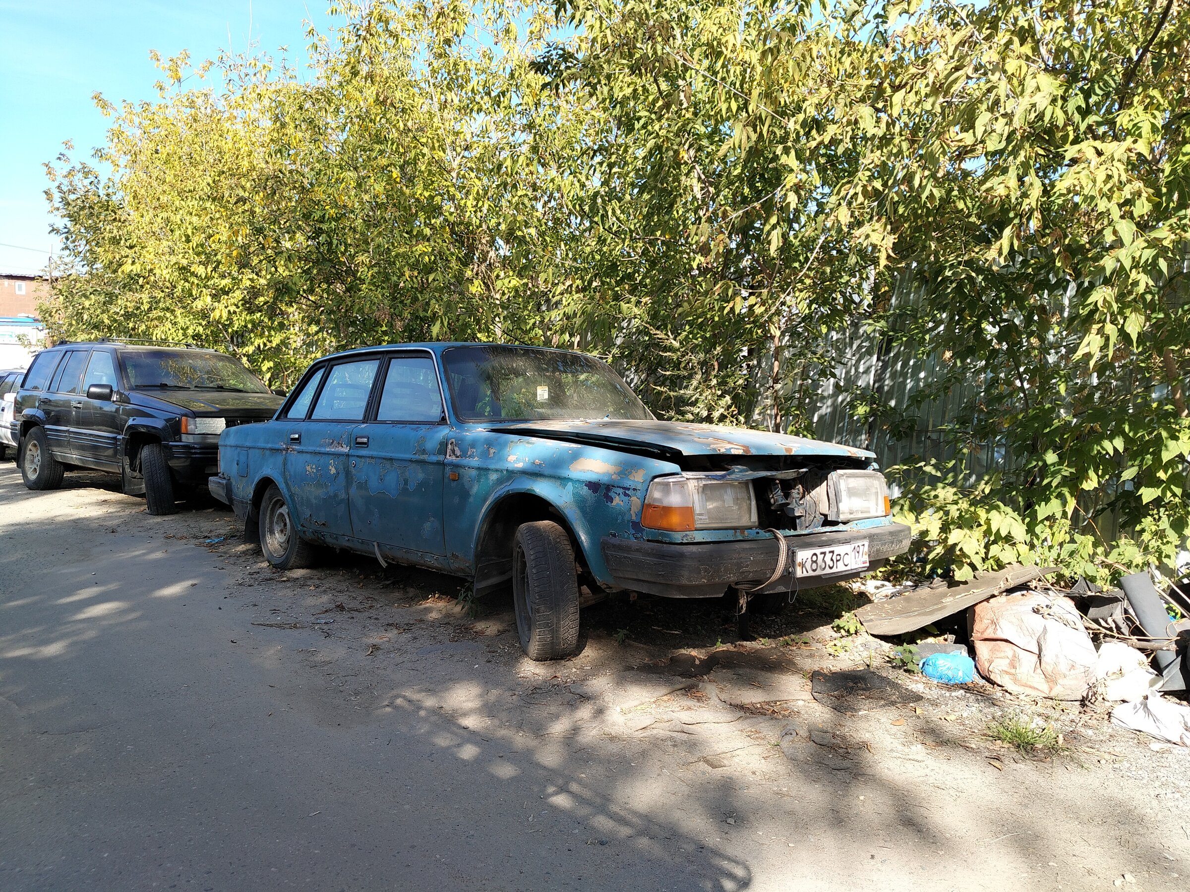IMG20260910150119.jpg