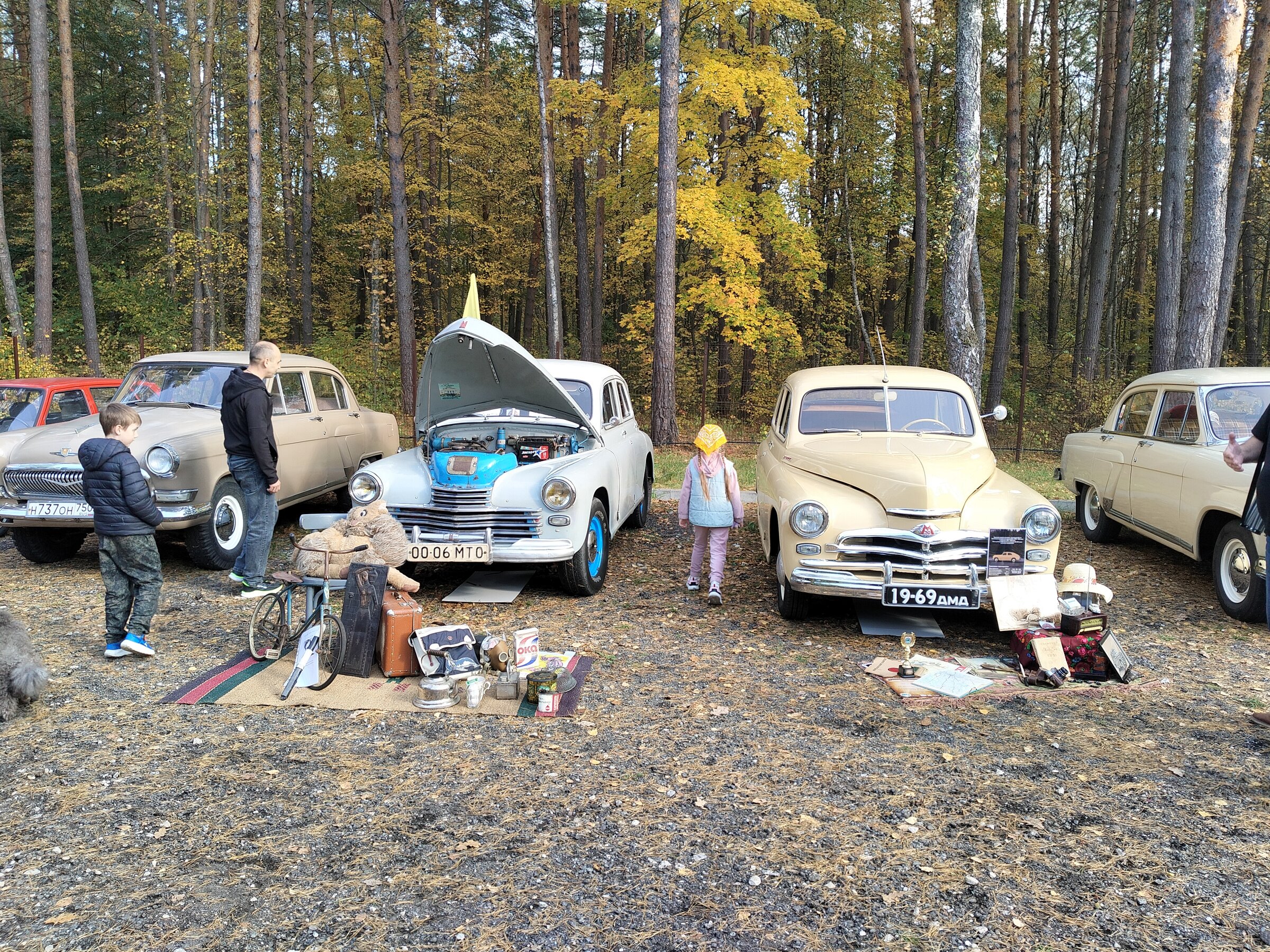 IMG20260926150937.jpg