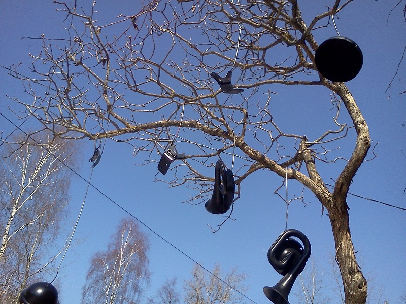 IMG765.jpg