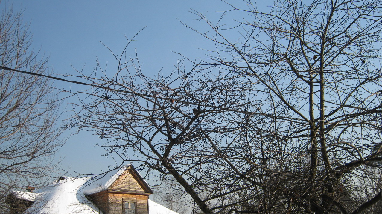 IMG_0061_resize_resize.JPG