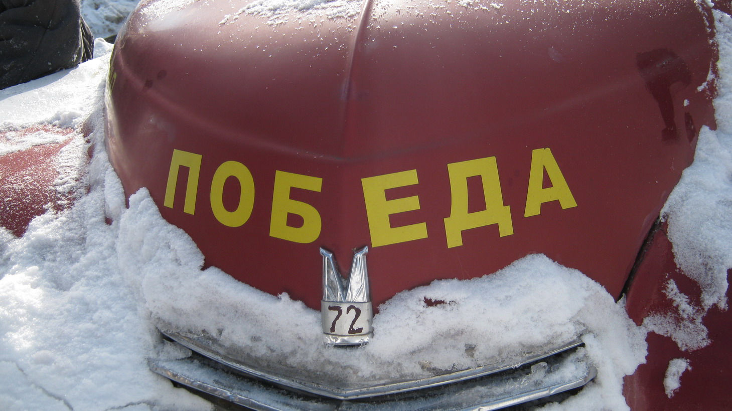 IMG_0241_resize.JPG