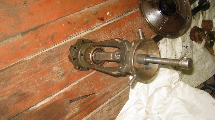 IMG_0787_resize.JPG