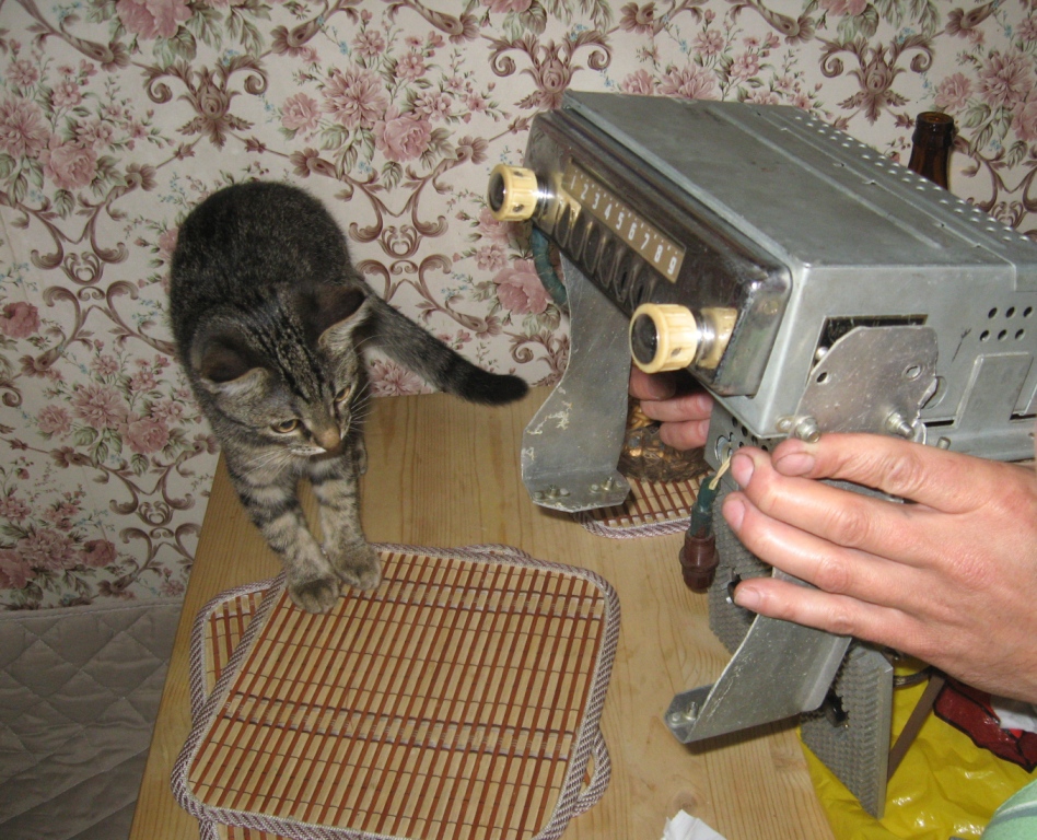 IMG_0825.JPG