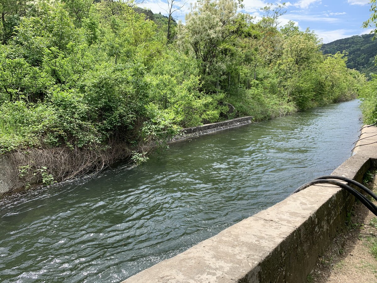 IMG_1346.jpeg