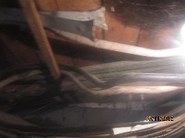 IMG_1525.jpg