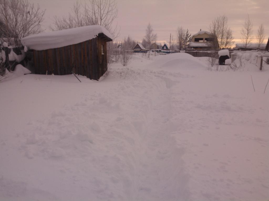 IMG_20140202_135801.jpg