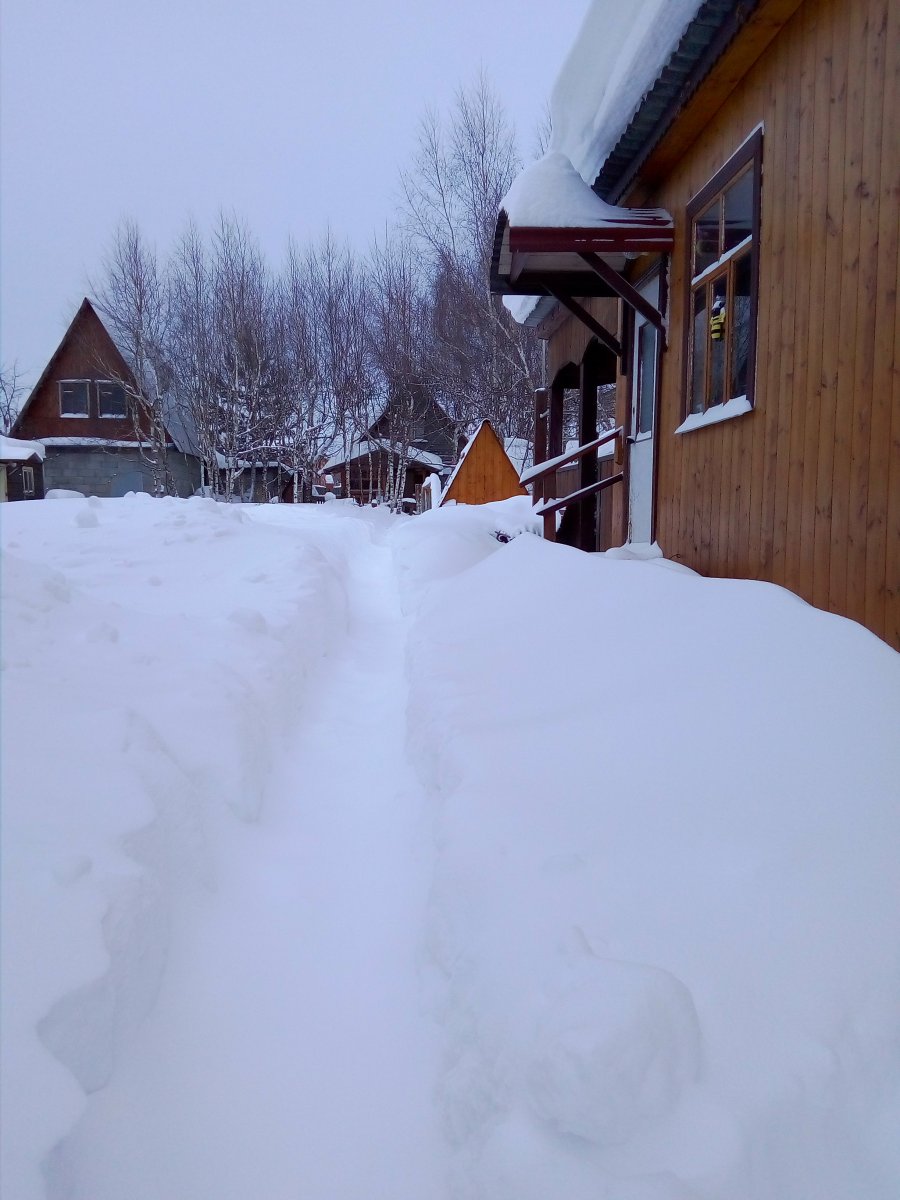 IMG_20190127_162452.jpg