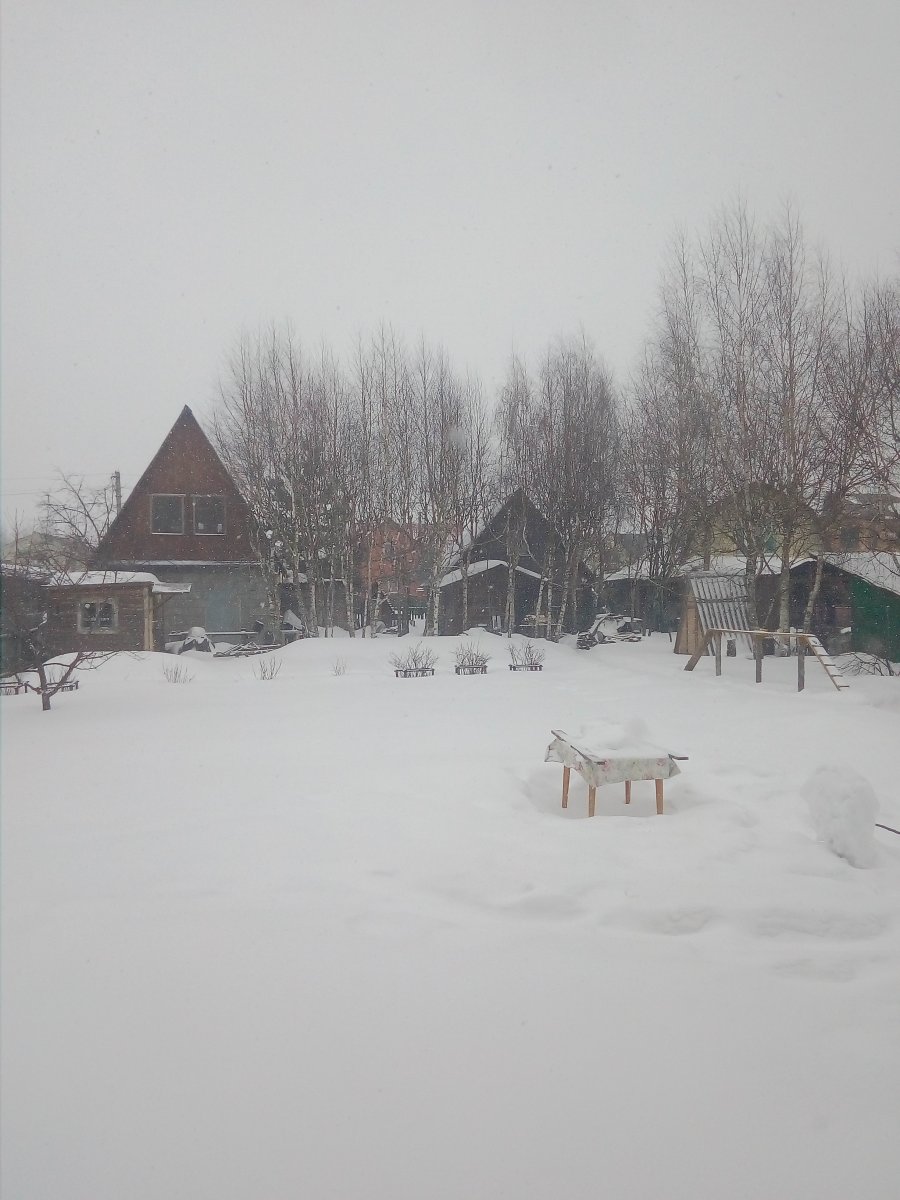 IMG_20190303_102825.jpg