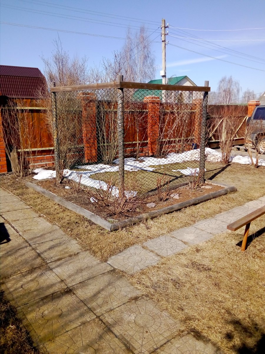 IMG_20190331_112630.jpg