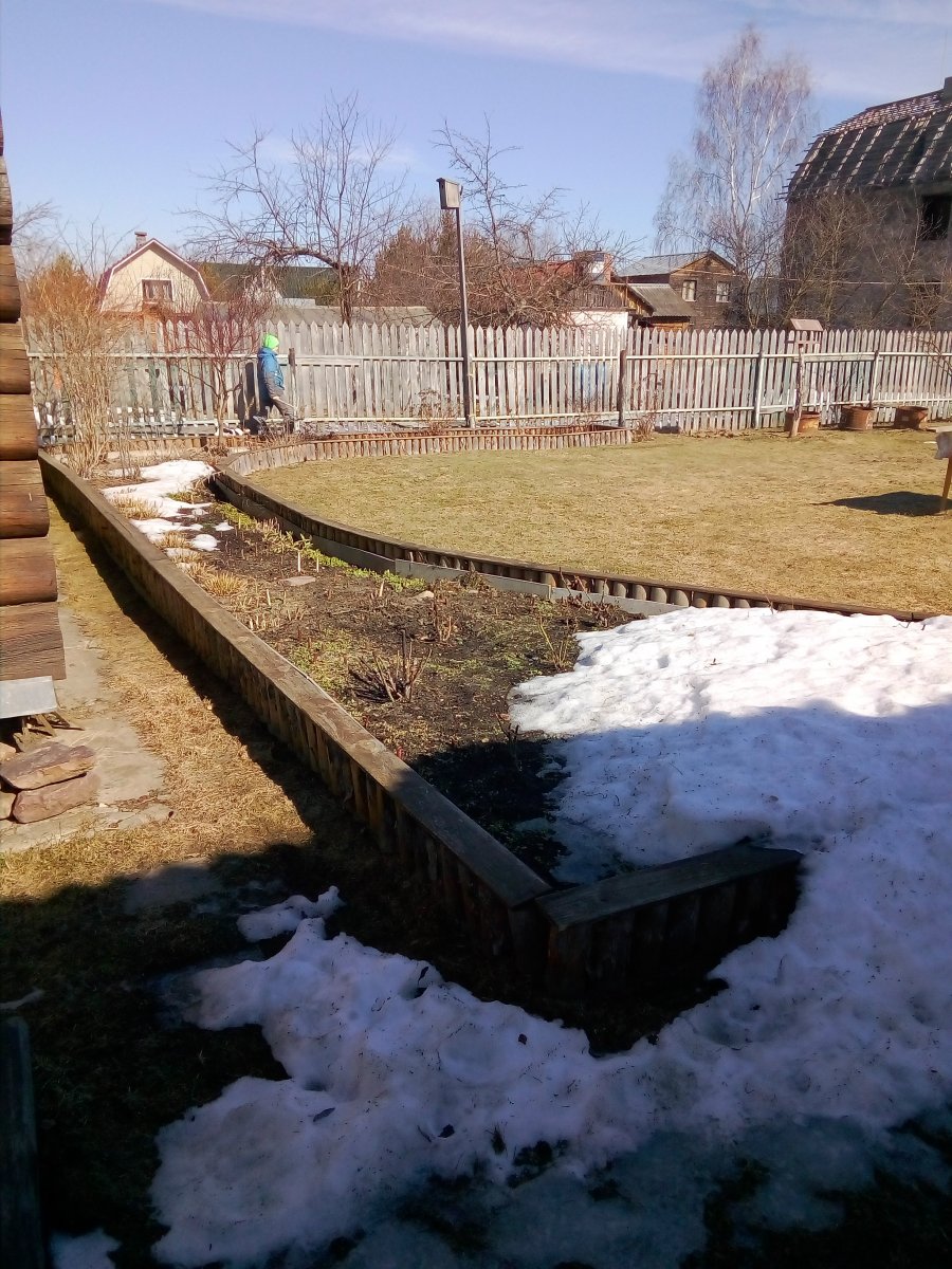 IMG_20190331_112643.jpg