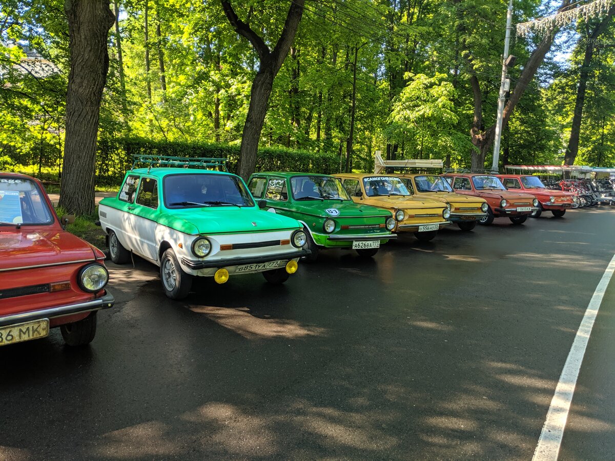 IMG_20190518_082953.jpg