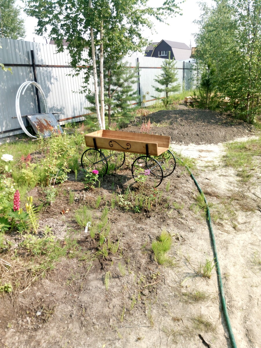 IMG_20190721_143110.jpg