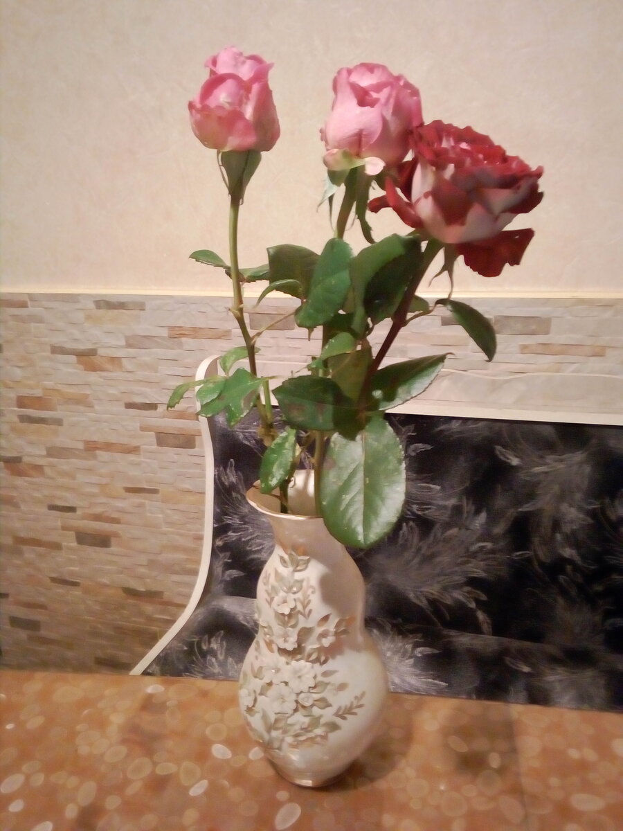 IMG_20191006_213959.jpg