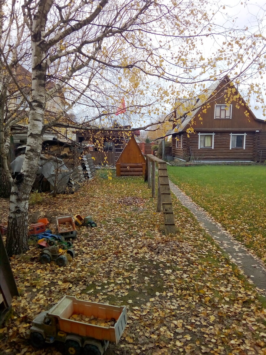 IMG_20191013_125541.jpg