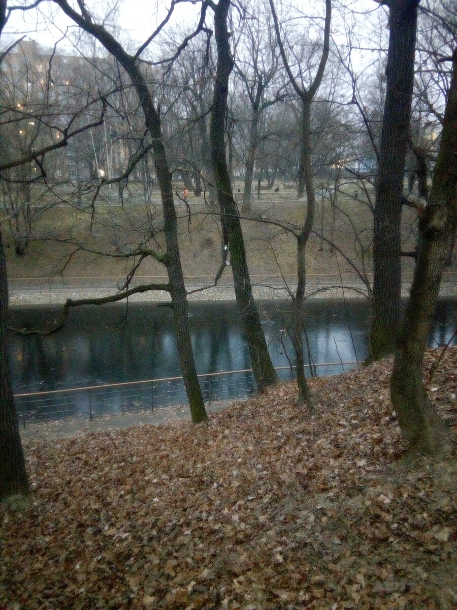IMG_20191129_082522.jpg