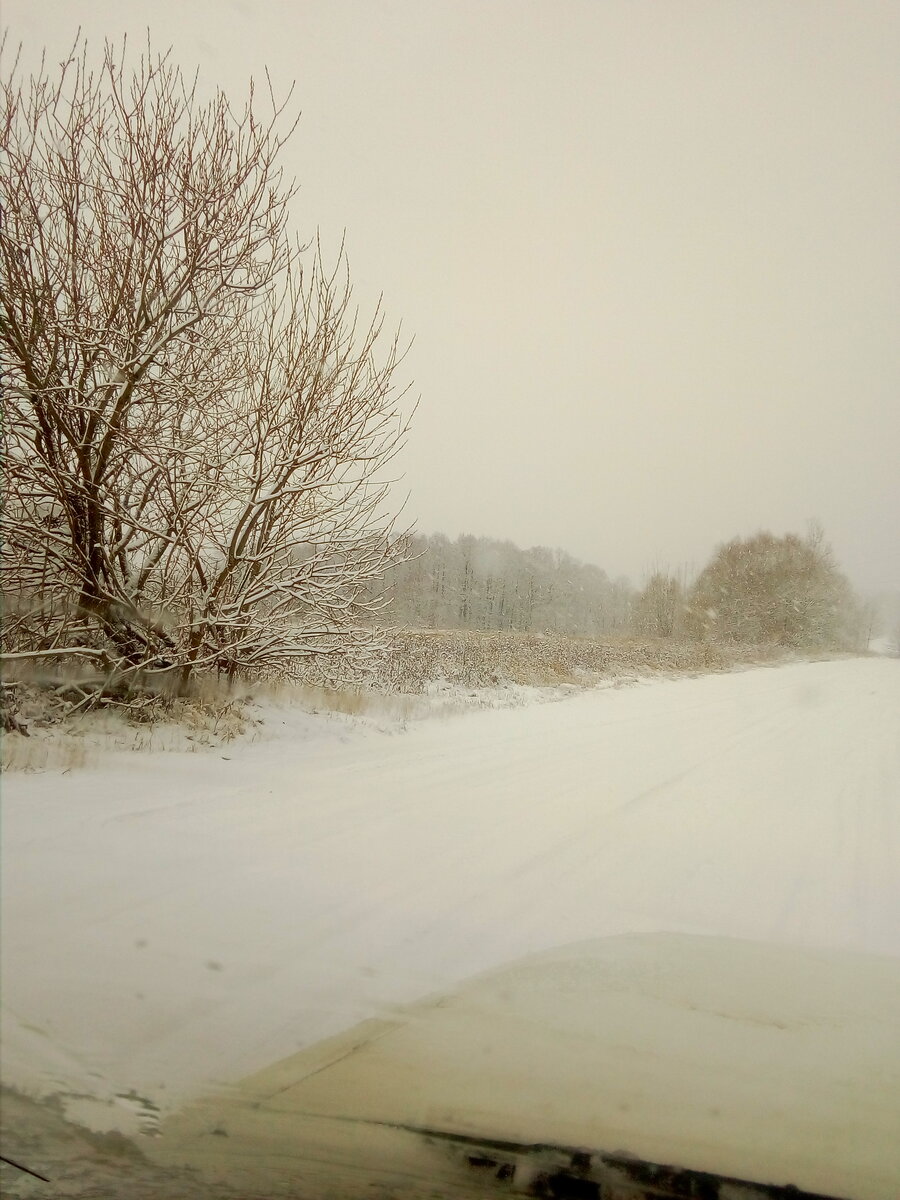 IMG_20200111_103825.jpg