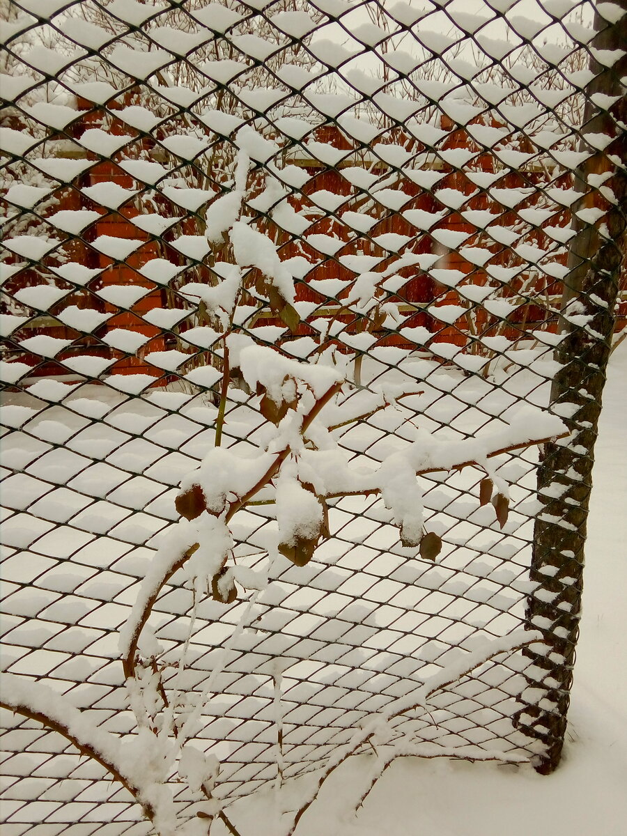 IMG_20200111_121226.jpg