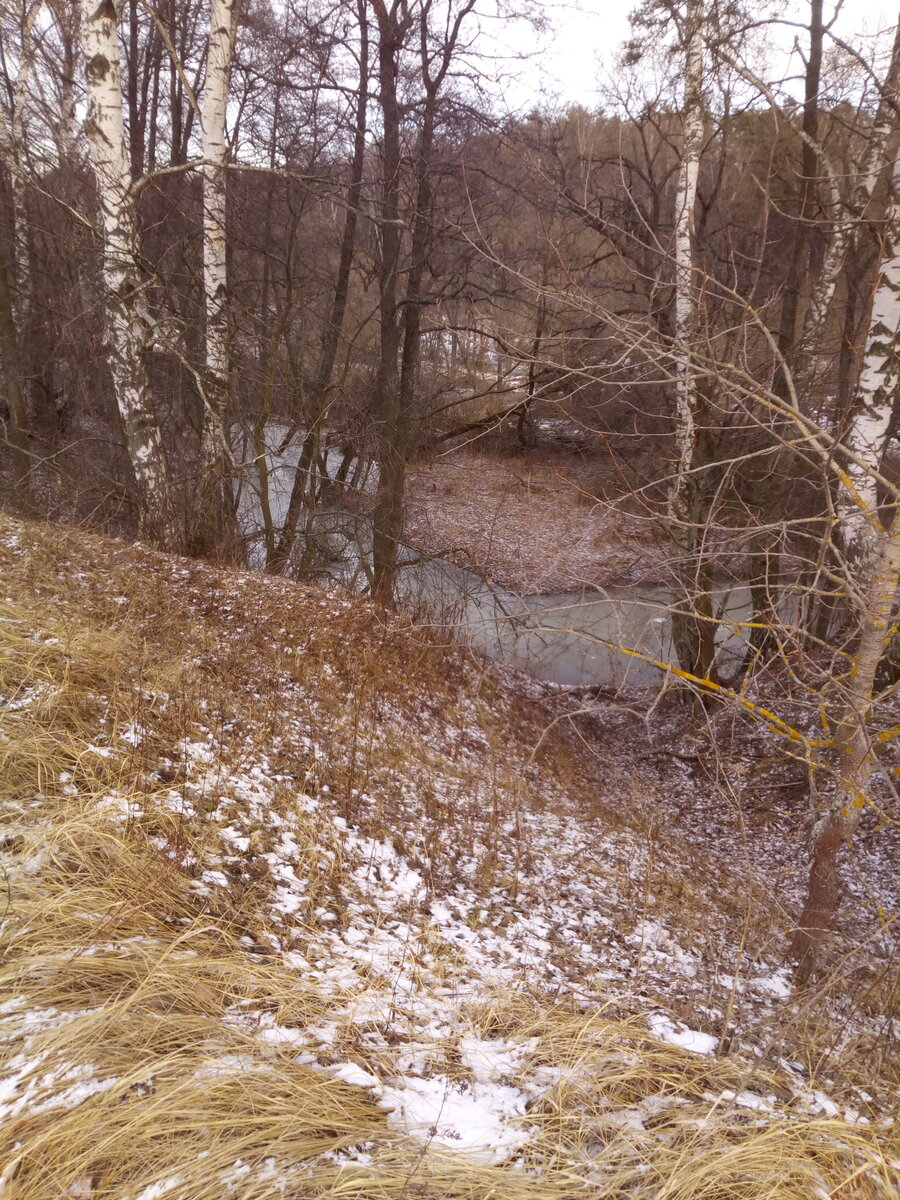 IMG_20200126_142818.jpg