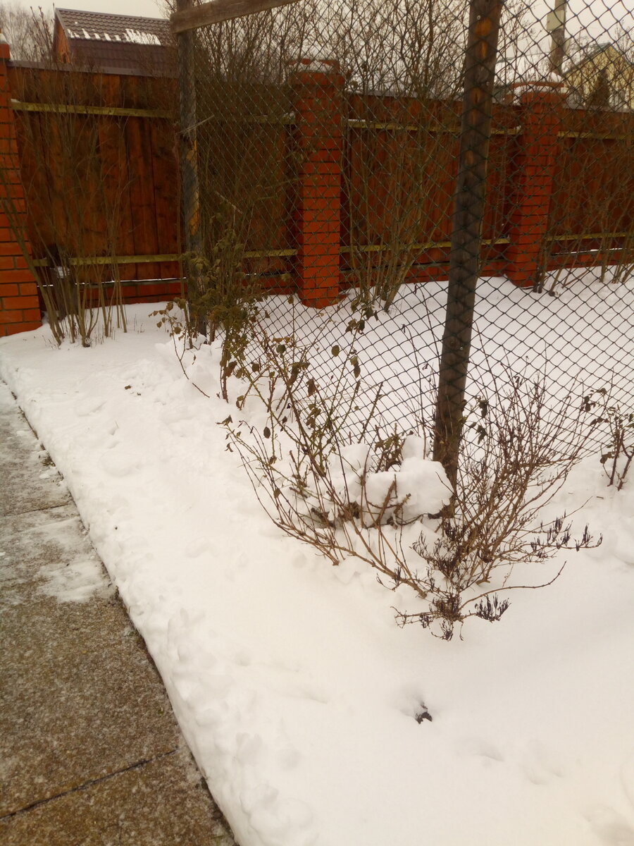 IMG_20200202_093850.jpg