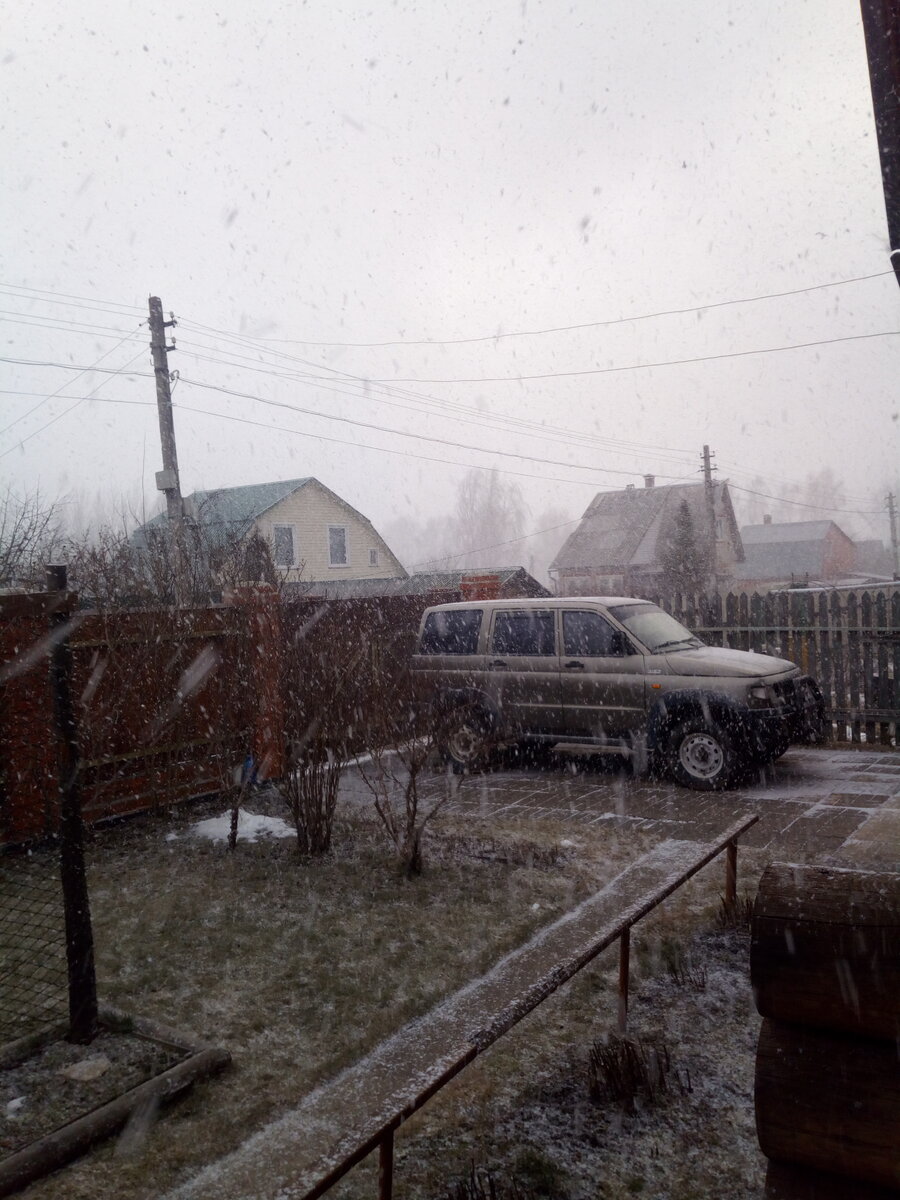 IMG_20200229_171916.jpg
