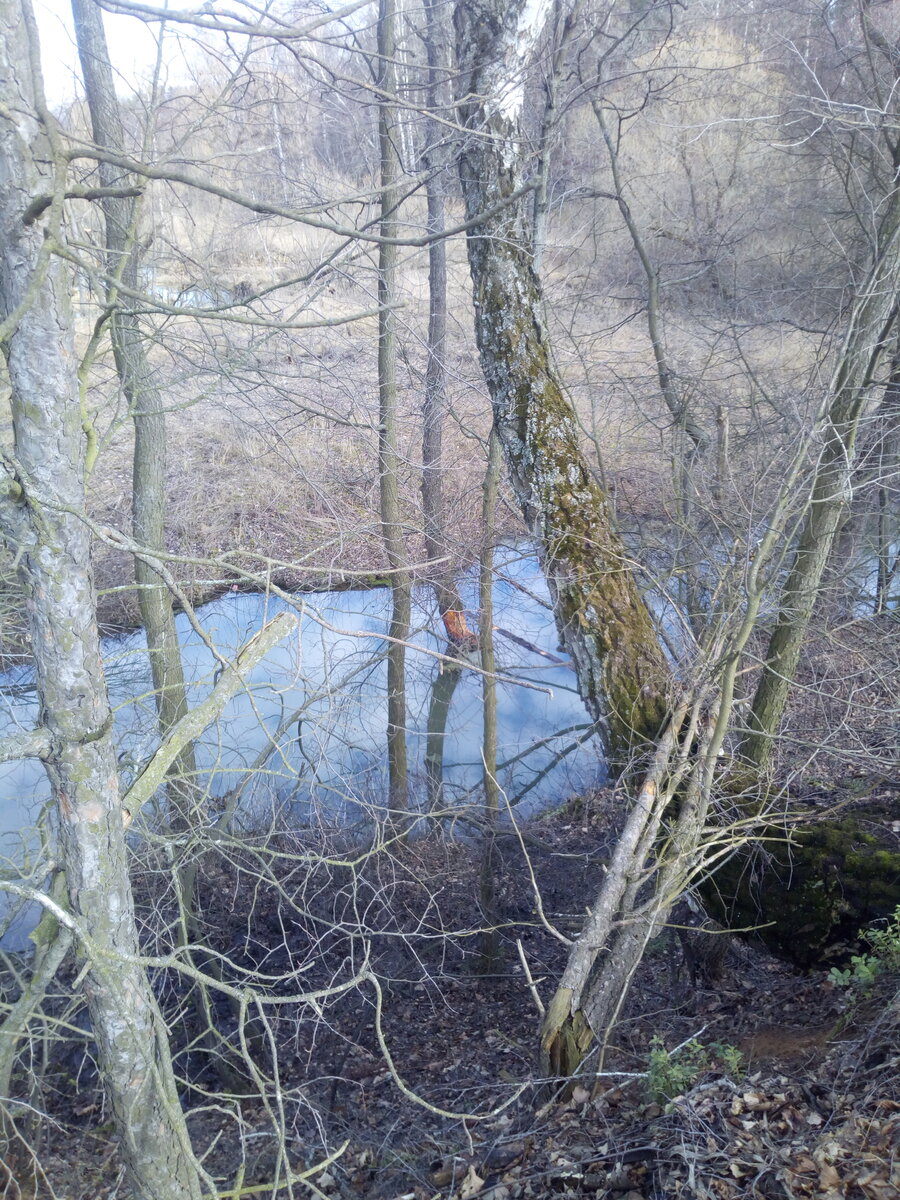 IMG_20200309_120301.jpg