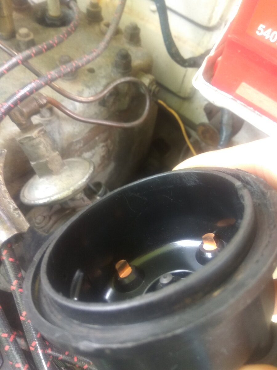 IMG_20200809_084159.jpg