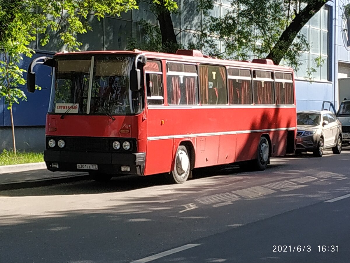 IMG_20210603_163123.jpg