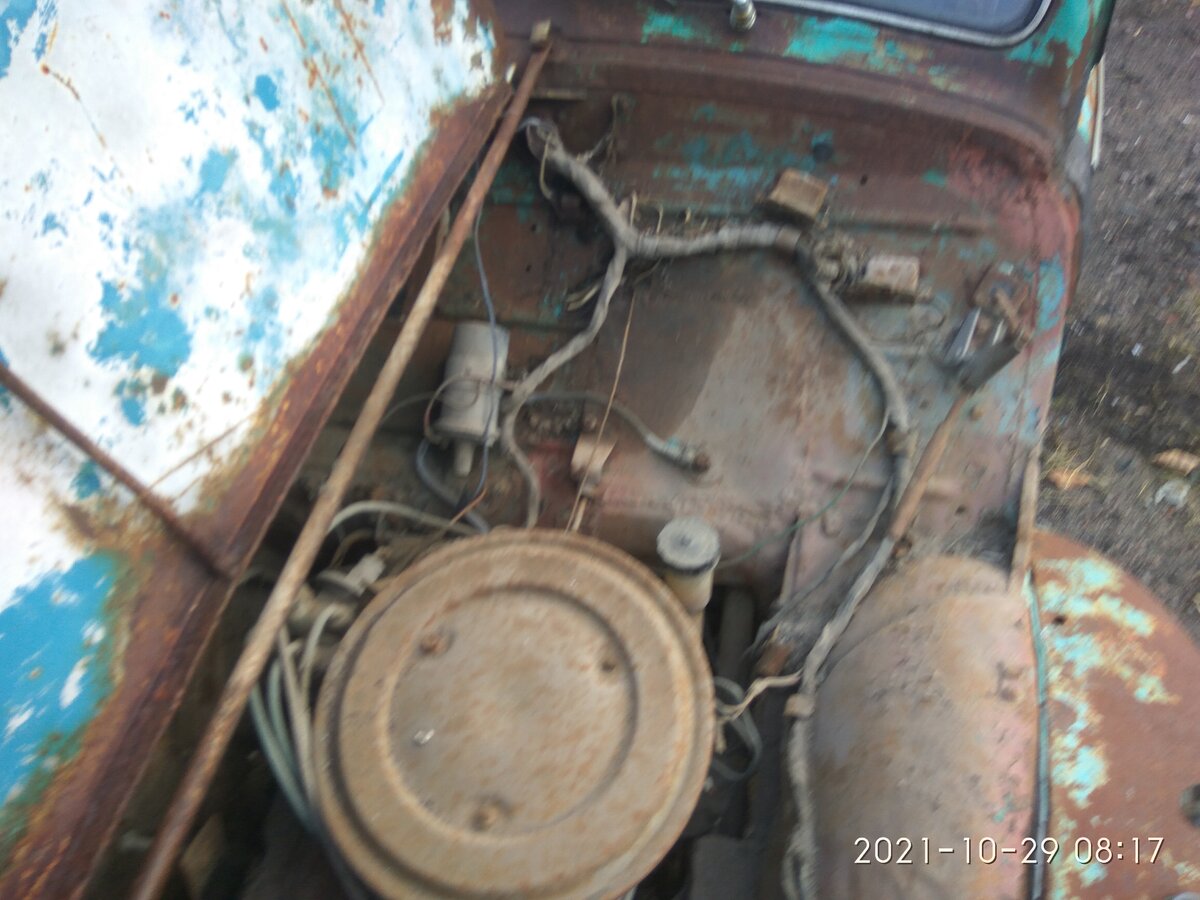 IMG_20211029_081747.jpg